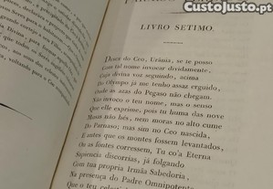 imagem_14