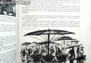 imagem_7