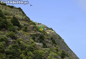 imagem_14