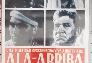 imagem_5