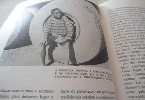 imagem_8