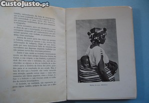 imagem_4
