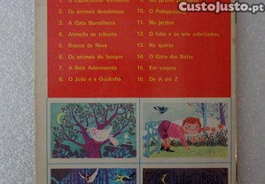 imagem_3