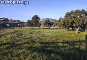 imagem_26