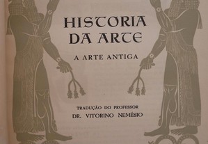 imagem_8