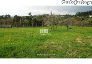 Terreno Vila Verde