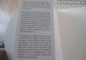 imagem_8