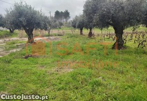 Terreno Para Construo De Moradia Em Ourem