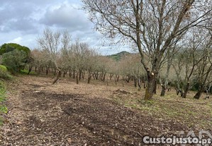 Terreno em Almargem do Bispo, Pêro Pinheiro e Montelavar