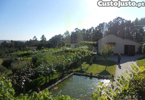 Quinta Em Coura De Seixas!