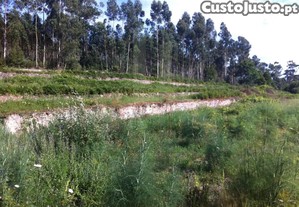 Terreno Para Construo Em Vilar De Mouros