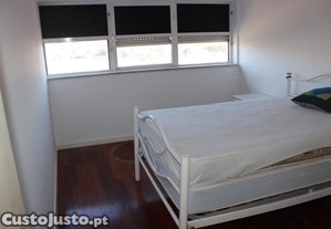imagem_11