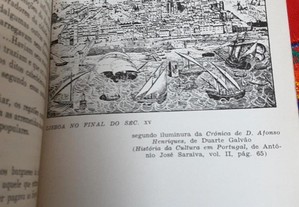 imagem_7