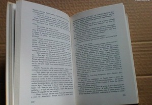 imagem_7