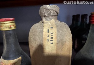 imagem_5