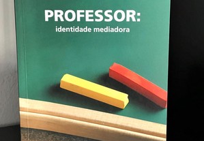 Professor: identidade mediadora de Ana Maria Bastos Loureiro