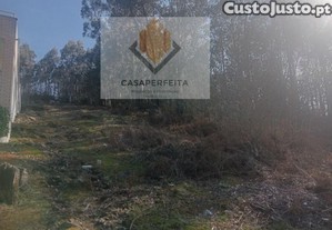imagem_11