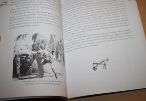 imagem_7