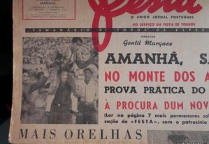 imagem_6
