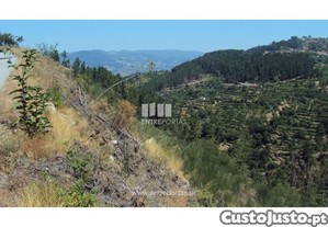 Terreno Cinfães