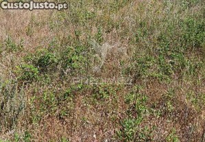 Lote para construo