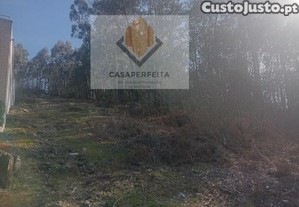 imagem_12