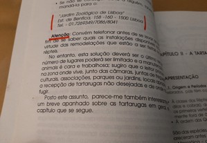 imagem_4