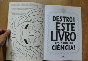 imagem_4