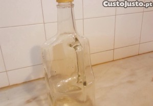 imagem_6