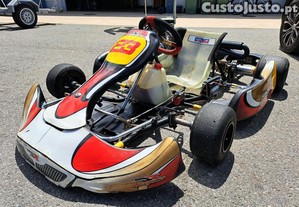 Karting Rotax 125FR Max usado em otimo estado