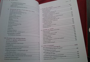 imagem_8