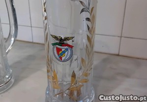 imagem_8