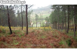 Terreno Baião