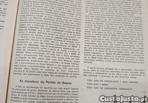 imagem_7