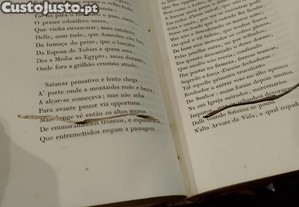 imagem_8