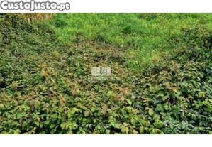 Terreno Viana do Castelo