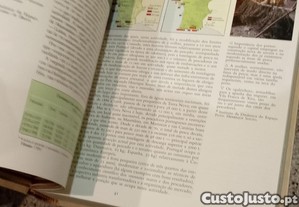 imagem_10