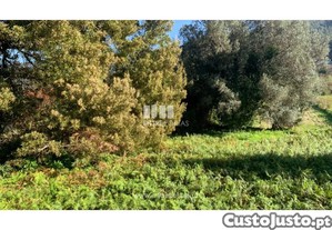 Terreno Caminha