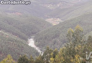 imagem_9