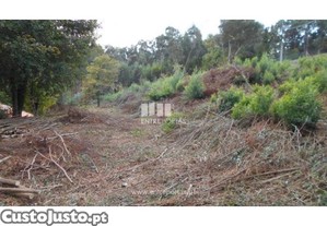 Terreno Caminha
