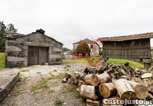 imagem_29