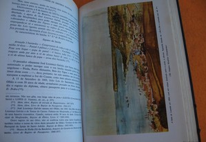 imagem_5