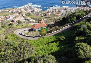 imagem_11