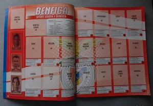 imagem_3