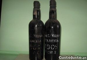 imagem_1