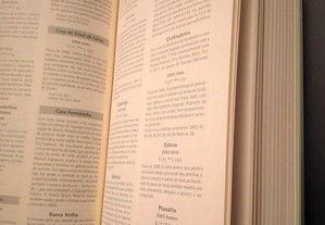 imagem_7