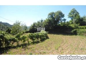 Terreno Cinfães