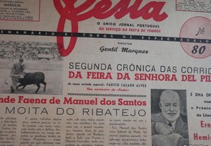 imagem_8