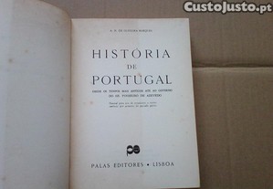 imagem_6