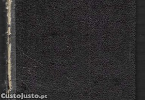 imagem_2